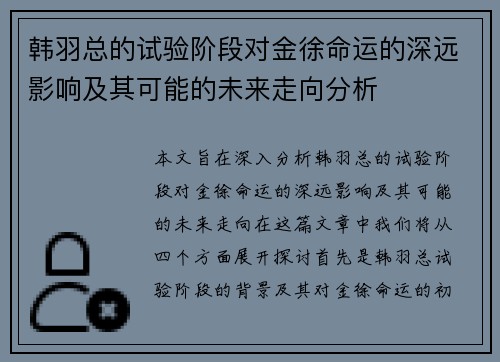 韩羽总的试验阶段对金徐命运的深远影响及其可能的未来走向分析