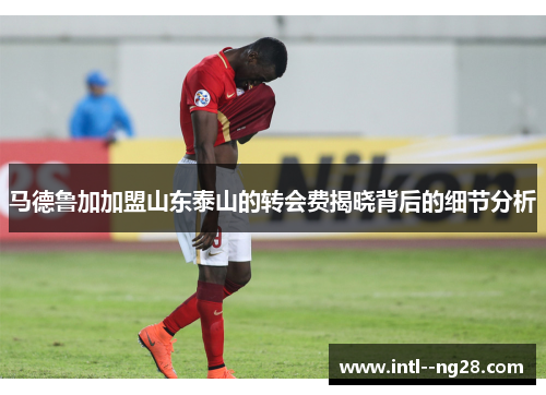 马德鲁加加盟山东泰山的转会费揭晓背后的细节分析